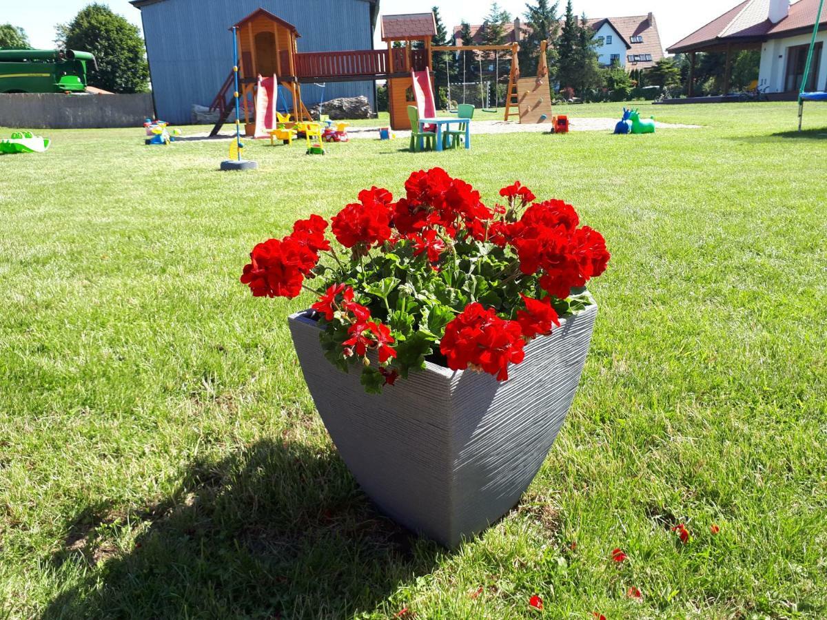 Domki Letniskowe Rekinek Ujście-Darłowskie Buitenkant foto